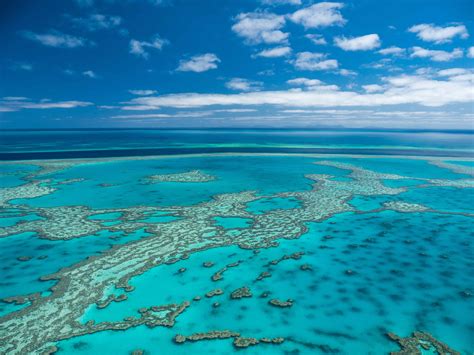 Learn about the Great Barrier Reef - Superyacht Great Barrier Reef