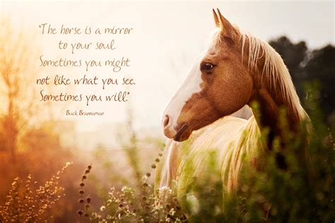 Inspirational Horse Quotes | THELOVE4HAPPINESS