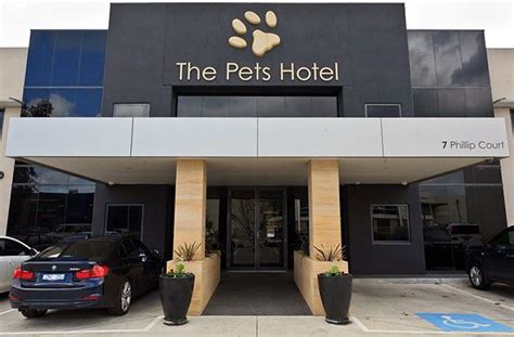 -Repinned-The Pets Hotel. | Pet hotel, Luxury dog kennels, Dog boarding ...