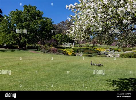 Cowra Japanese Garden, NSW, Australia Stock Photo - Alamy