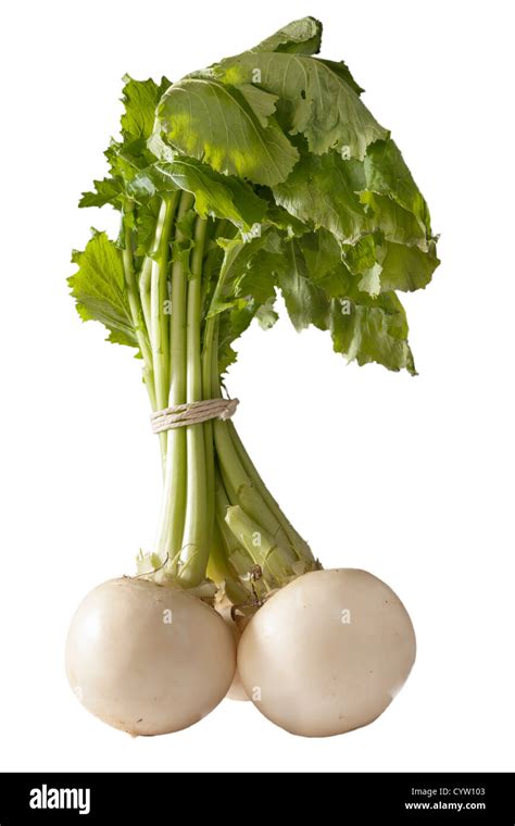 Turnips hi-res stock photography and images - Alamy