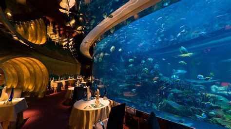 Burj Al Arab Aquarium announced as finalist in 2016 World Responsible ...