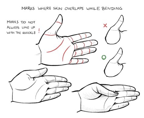 Hand drawing for beginners - jawerarmor