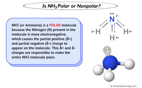 Is NH3 (Ammonia) Polar or Nonpolar? (And Why?)