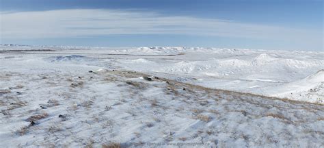 Winter in Grasslands National Park | Branimir Gjetvaj Photography