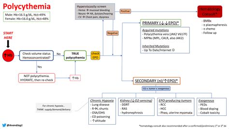 Polycythemia Differential Diagnosis Algorithm Polycythemia Grepmed ...