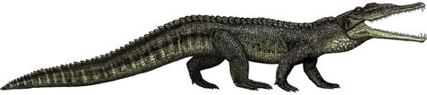 Smilosuchus - A-Z Animals