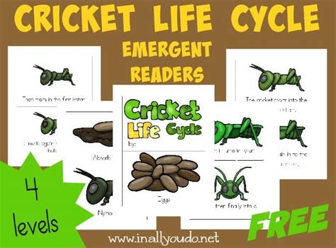 FREE Printable Cricket Life Cycle Emergent Readers