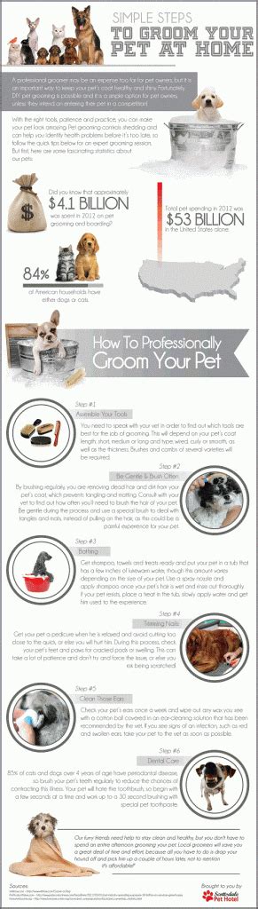 Useful Dog Grooming Tips - Pet Tutorials | Dog grooming tips, Dog ...