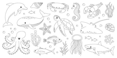 Ocean Animals Coloring Vector Art, Icons, and Graphics for Free Download