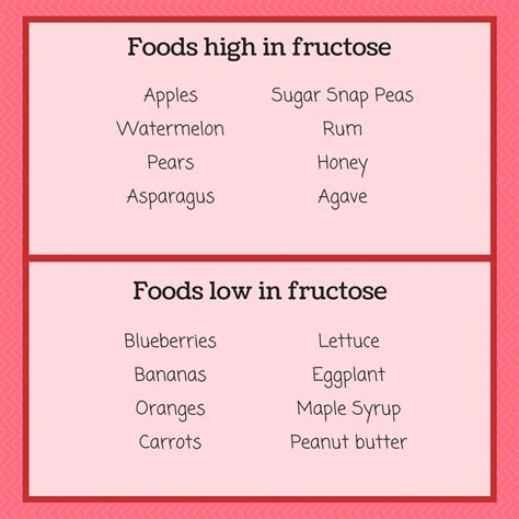 Introduction to Fructose Malabsorption – Lauren Renlund MPH RD