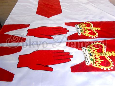 Red Hand Ulster Flag