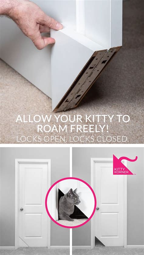 DIY Interior Cat Door - Learn More NOW! | Diy interior cat door, Cat ...