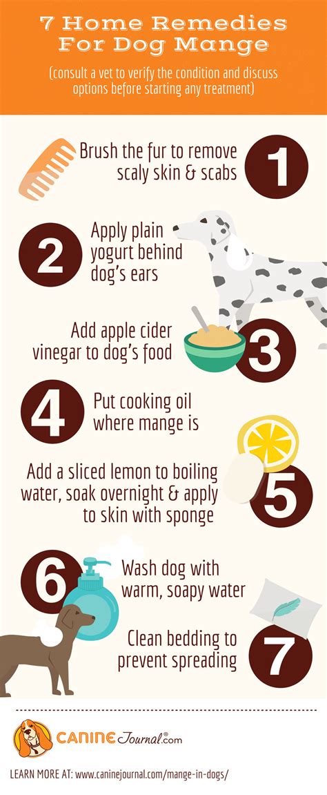 What Is Mange In Dogs? Treatment, Home Remedies, What Does It Look Like ...