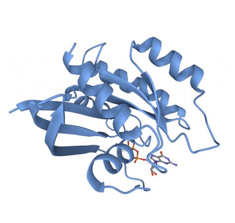 Levels of protein structure – tertiary | Biomacromolecular structures