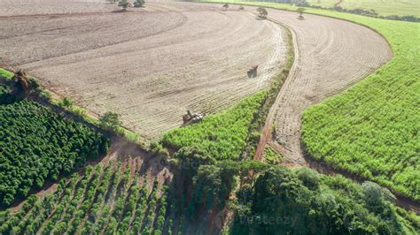 Sugar cane harvest 7637960 Stock Photo at Vecteezy