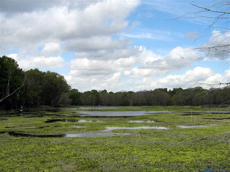 Brazos Bend State Park - WeddingMapper.com