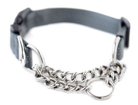 Top 5 Best Martingale Training Collars for Dogs that Pull - The Spoiled ...