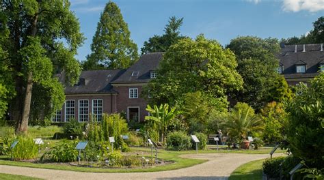 Jardin botanique Münster : Découvrez Münster avec Expedia.fr