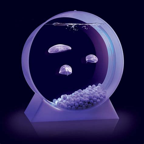 Moon JellyFish Desktop Tank - NoveltyStreet