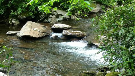 Southern Kayak Kronicles: Trout and good times abound on the ...