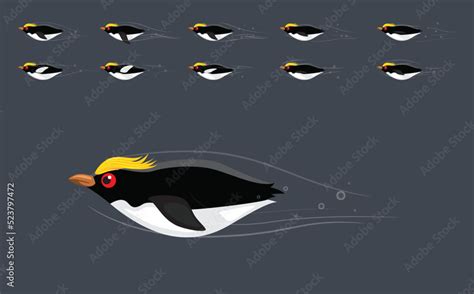 Penguin Macaroni Swimming Animation Frame Cute Cartoon Vector ...