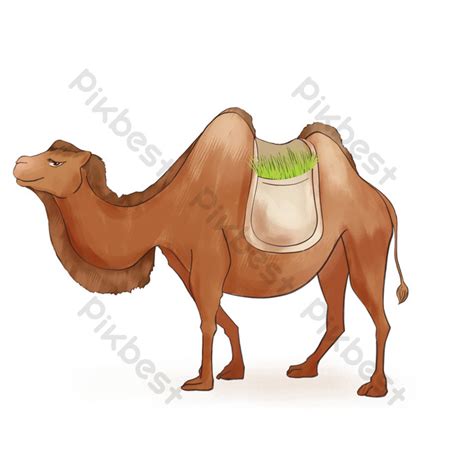 Drawing Desert Camel Design PNG Images | PSD Free Download - Pikbest