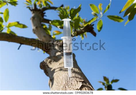 84,670 Tree Treatment Images, Stock Photos & Vectors | Shutterstock