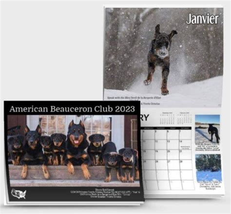 2023 ABC Beauceron Calendar – American Beauceron Club