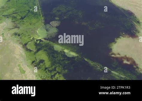 The marshy, flooded area. It is a unique ecosystem, rich in flora and ...