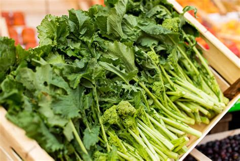 Turnip Greens Has Astonishing Cancer Fighting Abilities - Alkaline Valley