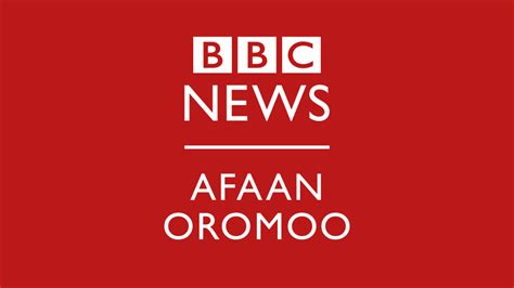 'Barnoonni umuriin hin daanga'u' - Maanguddoo ganna 80 - BBC News Afaan ...