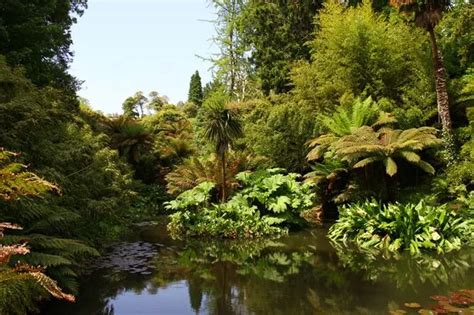 Lost Gardens Of Heligan History | Fasci Garden