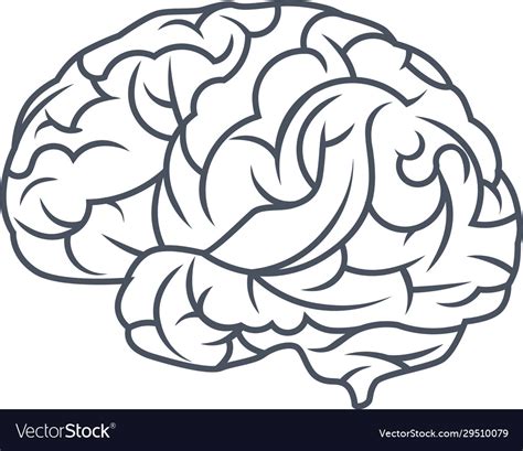 Brain logo silhouette design template line art Vector Image