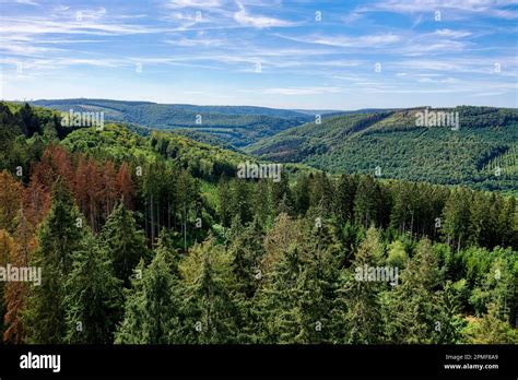 France, Ardennes, Ardennes Regional Nature Park, Monthermé, Ardennes ...