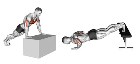 Incline vs Decline Push-ups: Differences Explained - Inspire US