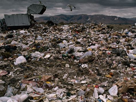 pollution | National Geographic Society