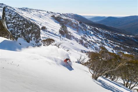 Thredbo Ski Resort | Ski Resorts Australia | Mountainwatch