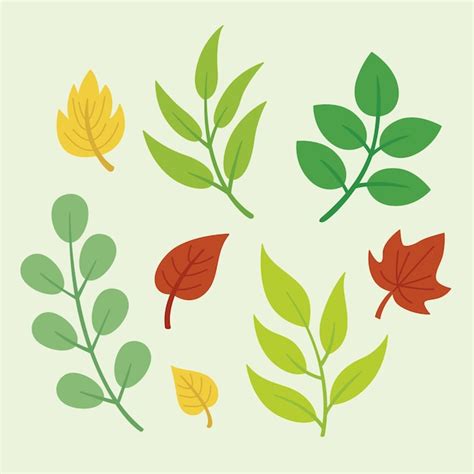 Free Vector | Different colorful leaves collection flat design