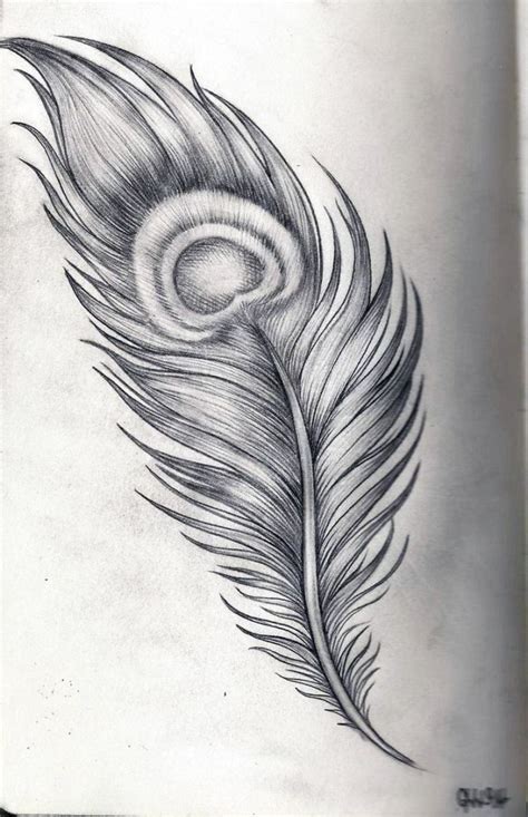 Peacock Feather Drawing 1000 Ideas About Peacock Feather Tattoo On ...