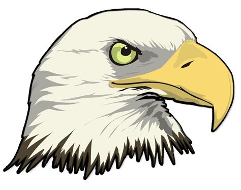 Simple Bald Eagle Drawing at GetDrawings | Free download