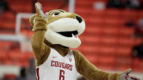 Mascot Mania: How the Cougars became the Cougars | krem.com