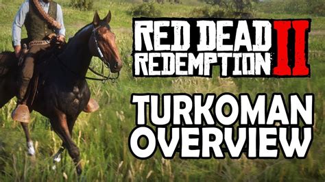 Turkoman Overview | Red Dead Redemption 2 Horses - YouTube