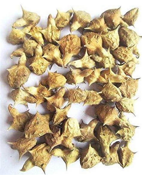 Certified Organic Plant Based Gokhru Tribulus Terrestris | Etsy