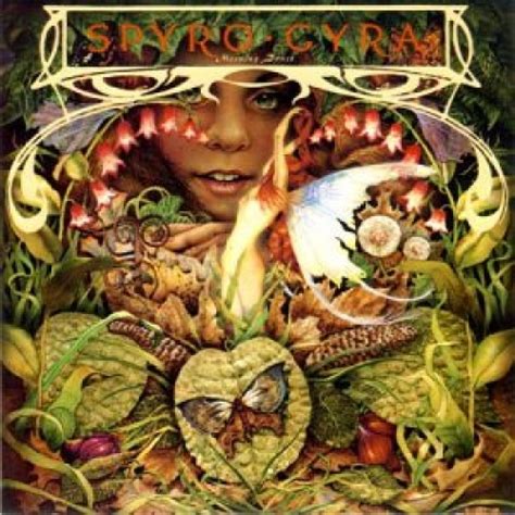 Spyro Gyra ‎ - Morning Dance, Vinyl, 7" at Vinylom Marketplace