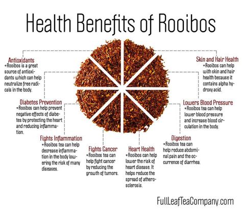 What is Rooibos? Benefits, Prep, History [Complete Guide]