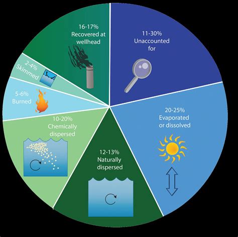 Bp Oil Spill Diagram