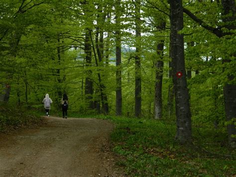 Rajac hiking-private tour | Explore Serbia