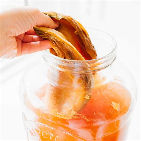 What is a kombucha SCOBY? | Brew Buch