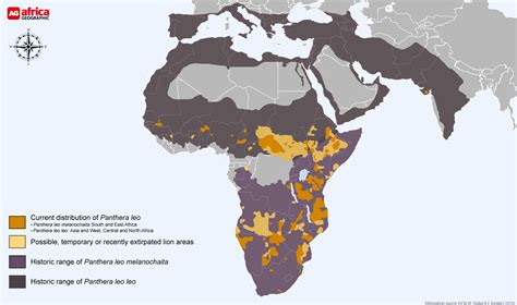 African Lion Habitat Map